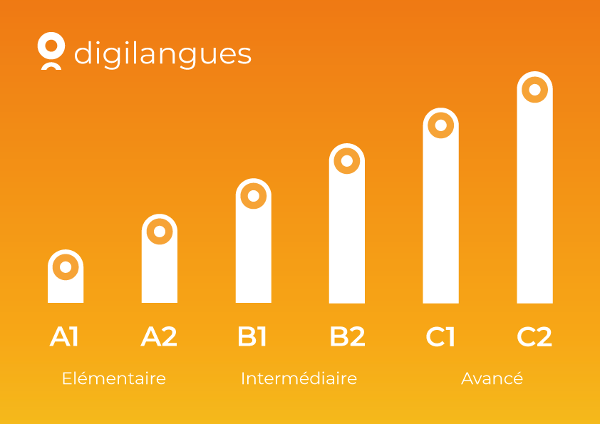 Niveaux CECRL | Digilangues cours visio à distance