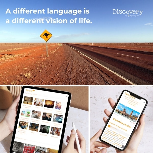 Alt Text